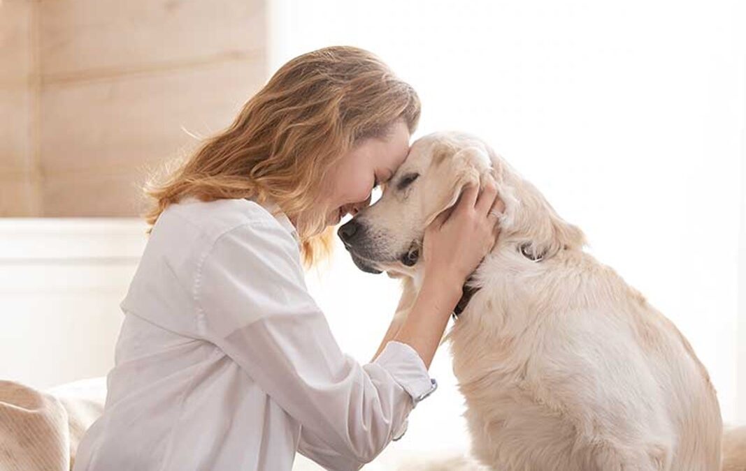 Limitaciones para las mascotas en la comunidad de vecinos: normas y convivencia