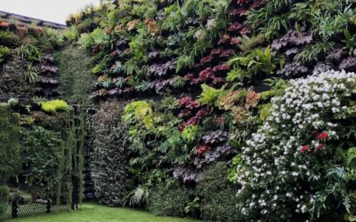 Jardines verticales
